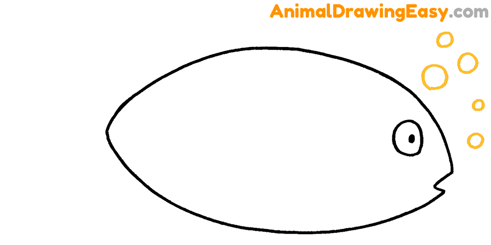 Blue Tang Drawing Lesson