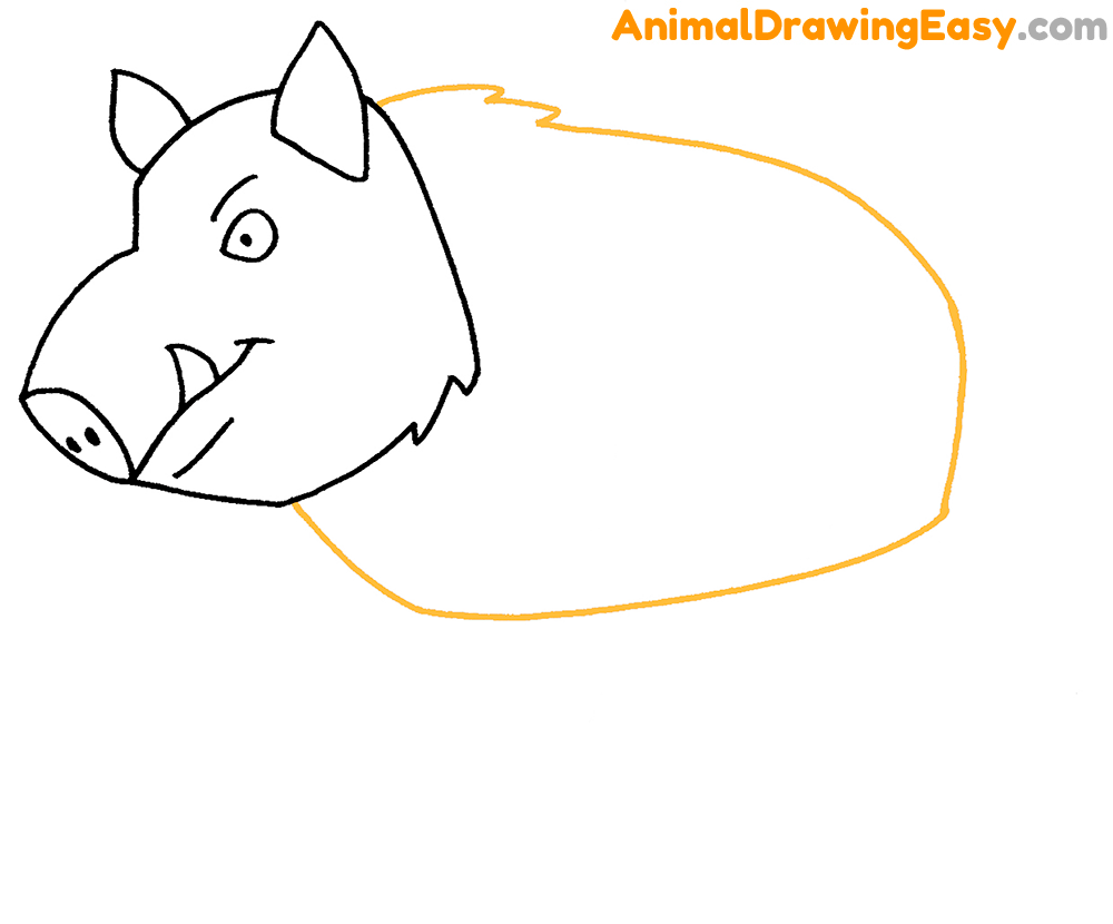Boar Drawing Guide