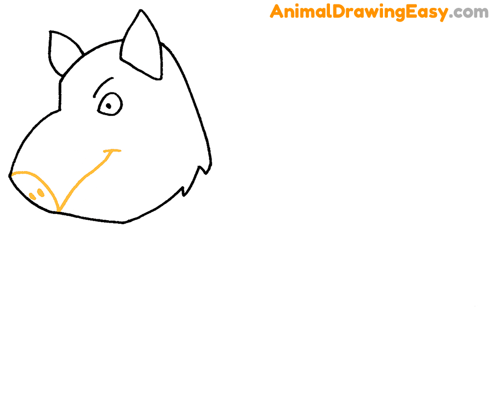 Boar Drawing Lesson