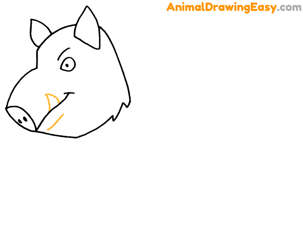 Boar Head Drawing