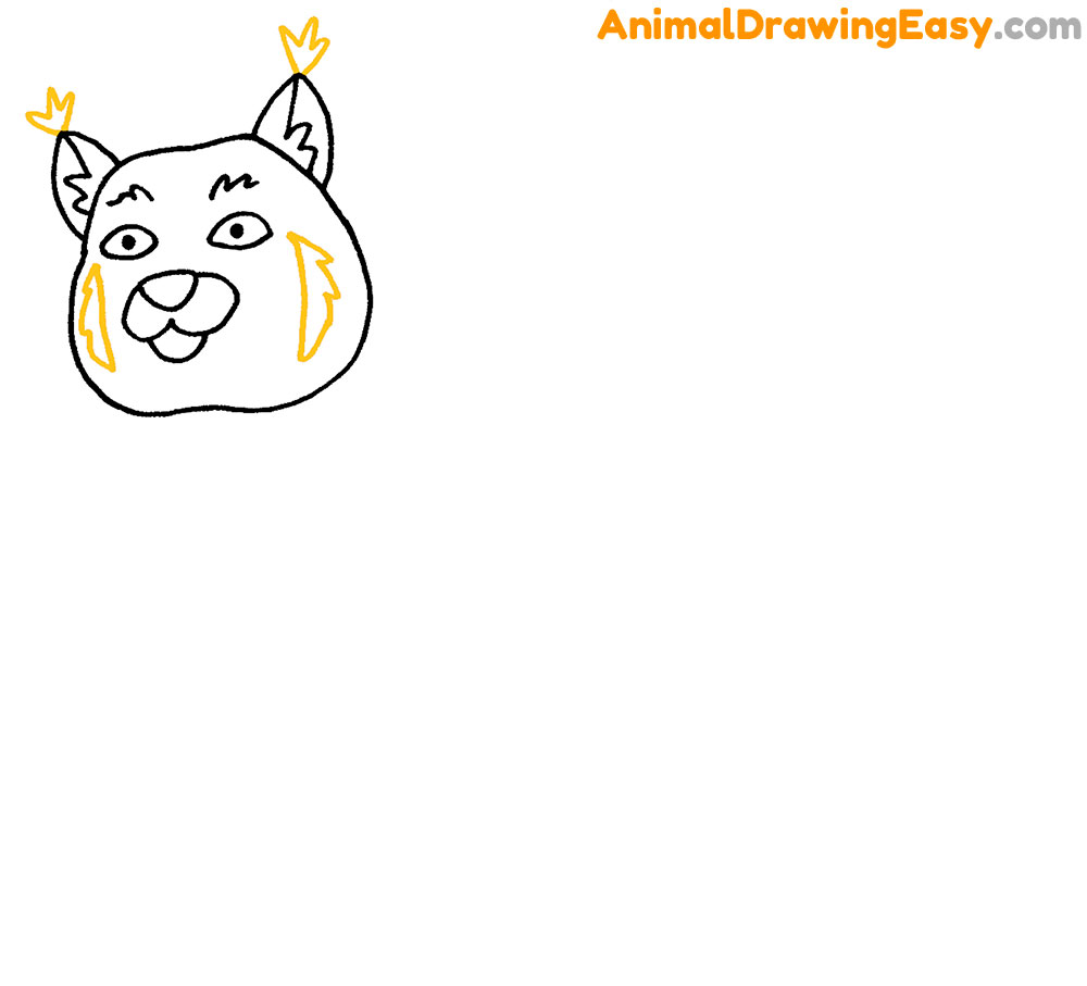Bobcat Head Drawing