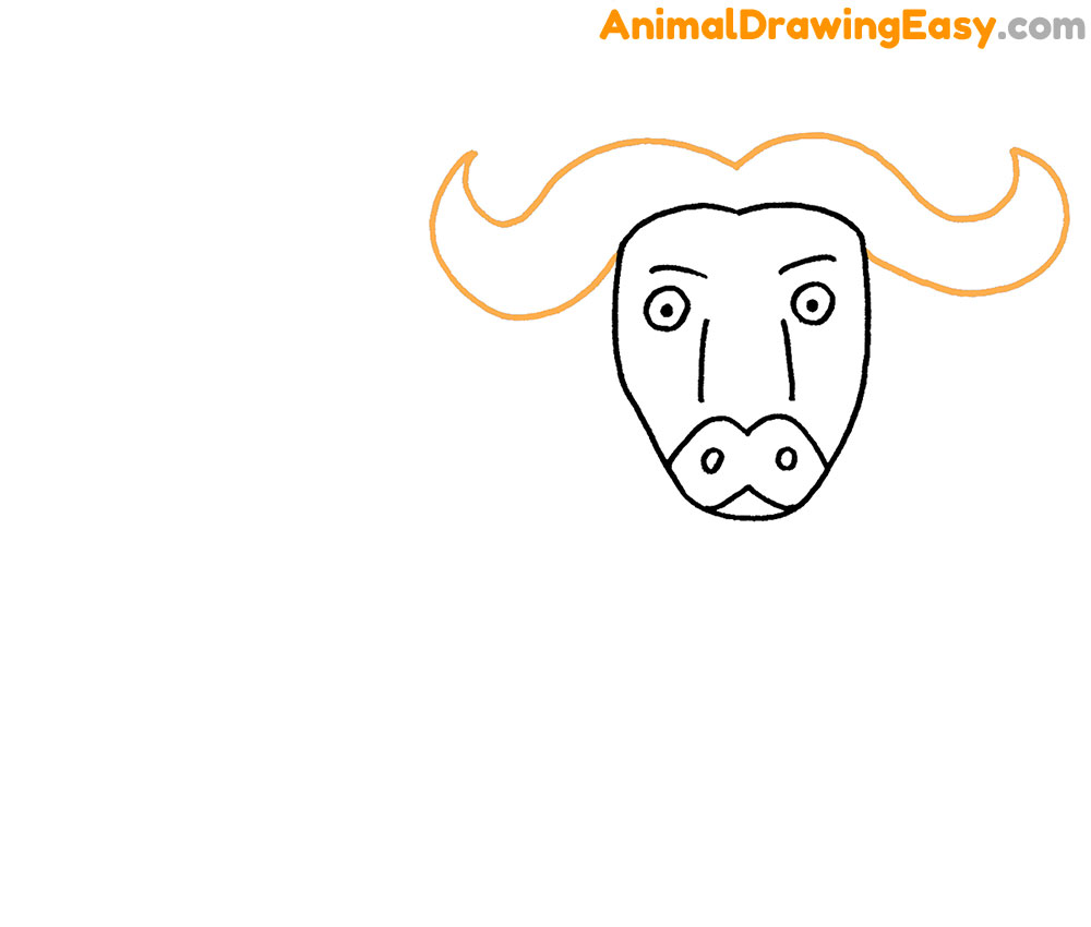 Buffalo Drawing Lesson