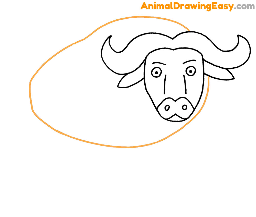 Buffalo Drawing Tutorial
