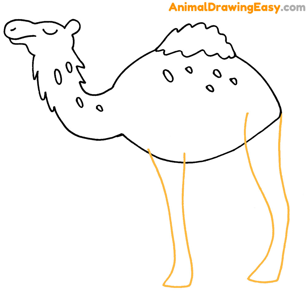 Camel drawing book | camel drawing book for children color filling: Camel  drawing: Abbas, Mr Sajeel: 9798803468561: Amazon.com: Books
