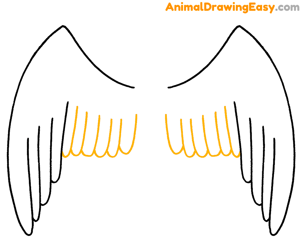 Draw Bird Wings
