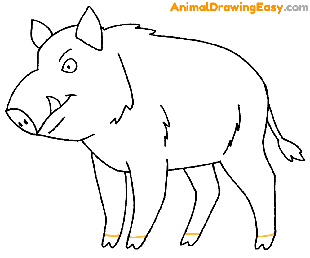 Draw a Boar
