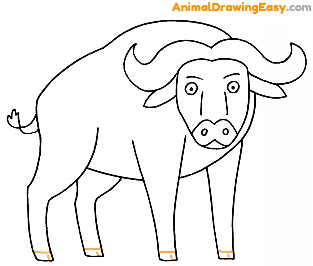 Draw a Buffalo
