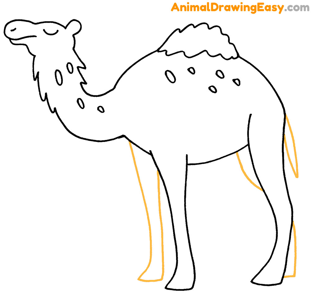 Draw a Camel