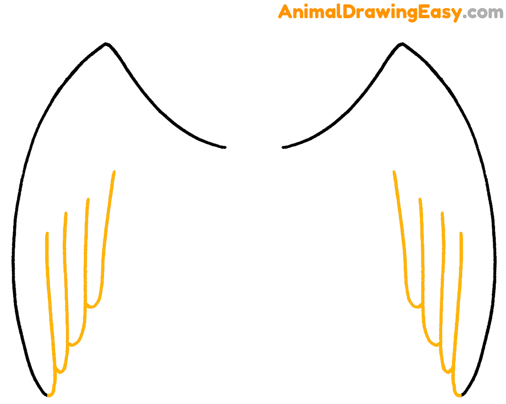 Drawing Bird Wings