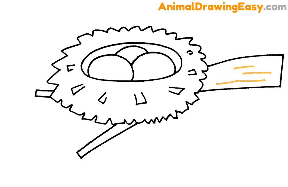 Drawing a Bird Nest