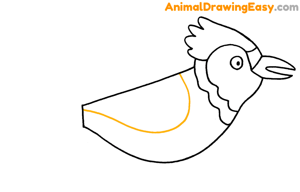 Easy Drawing Blue Jay