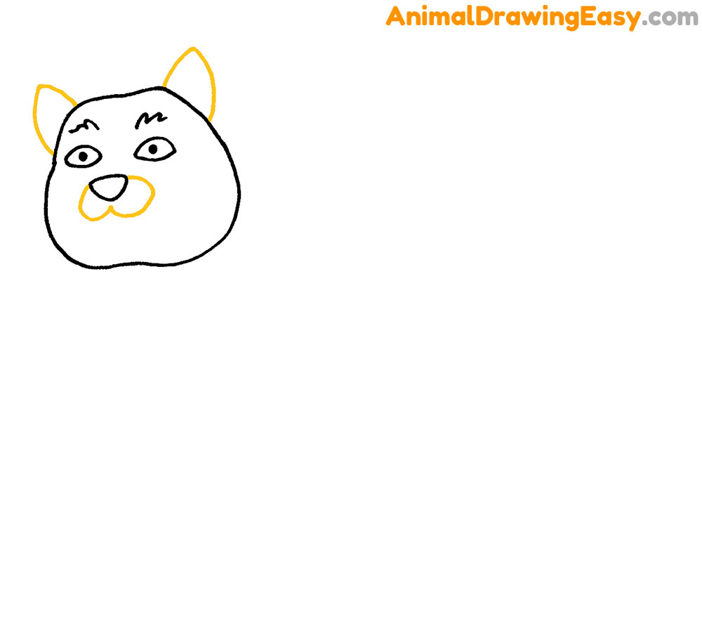 Easy Drawing Bobcat