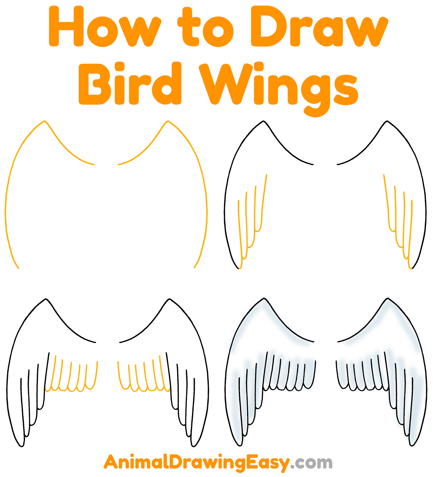 How to Draw Bird Wings Step by Step