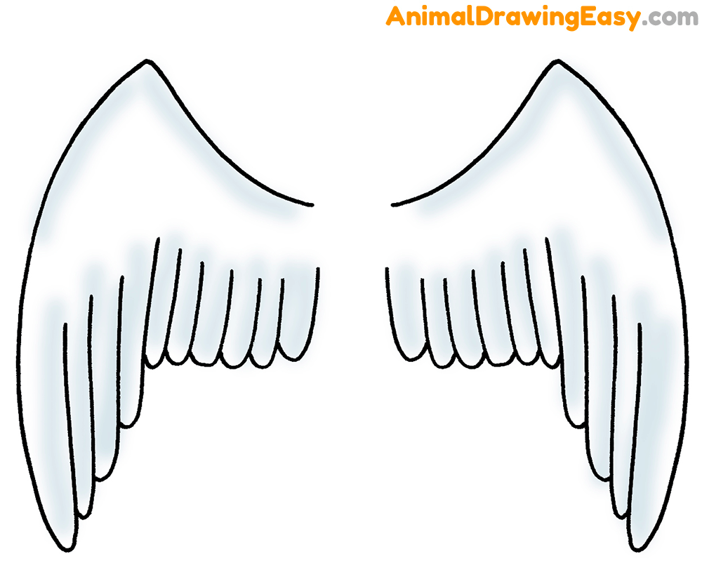 How to Draw Bird Wings