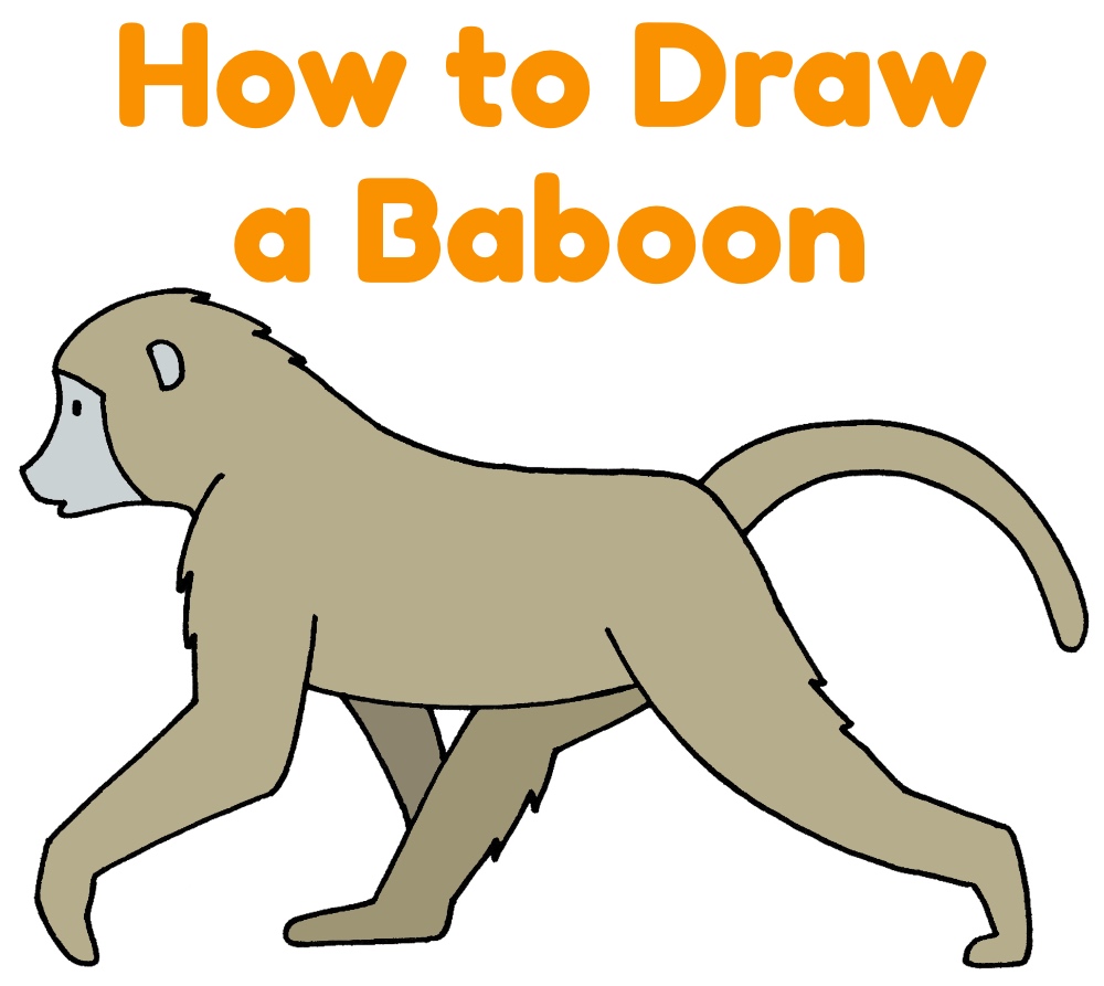 How to Draw a Baboon Monkey