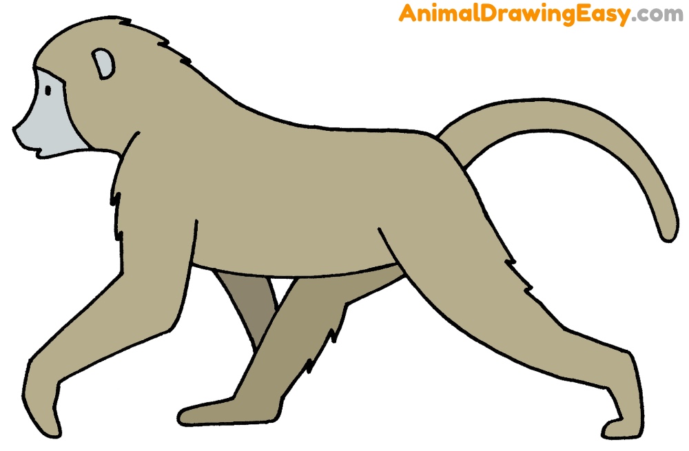 How to Draw a Baboon