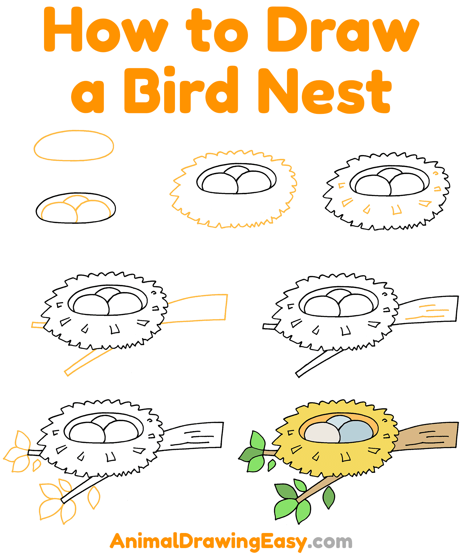How to Draw a Bird Nest Step by Step