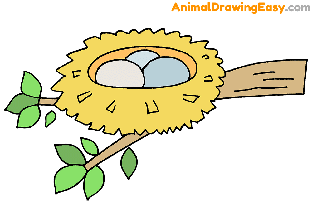 How to Draw a Bird Nest