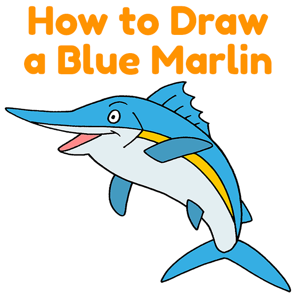 How to Draw a Blue Marlin - Animaldrawingeasy.com