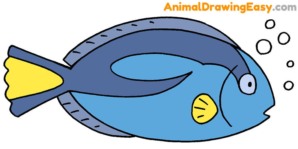 How to Draw a Blue Tang for Kids