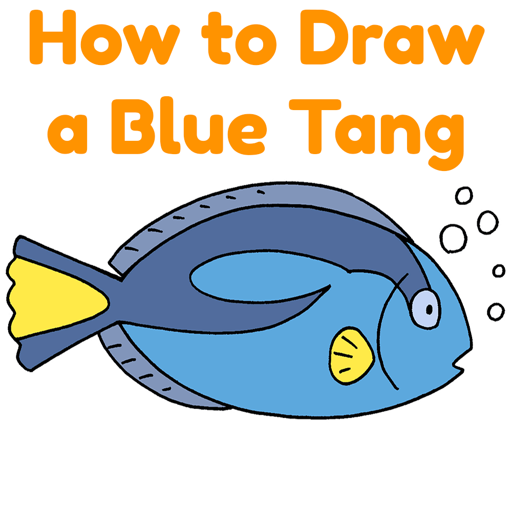How to Draw a Blue Tang