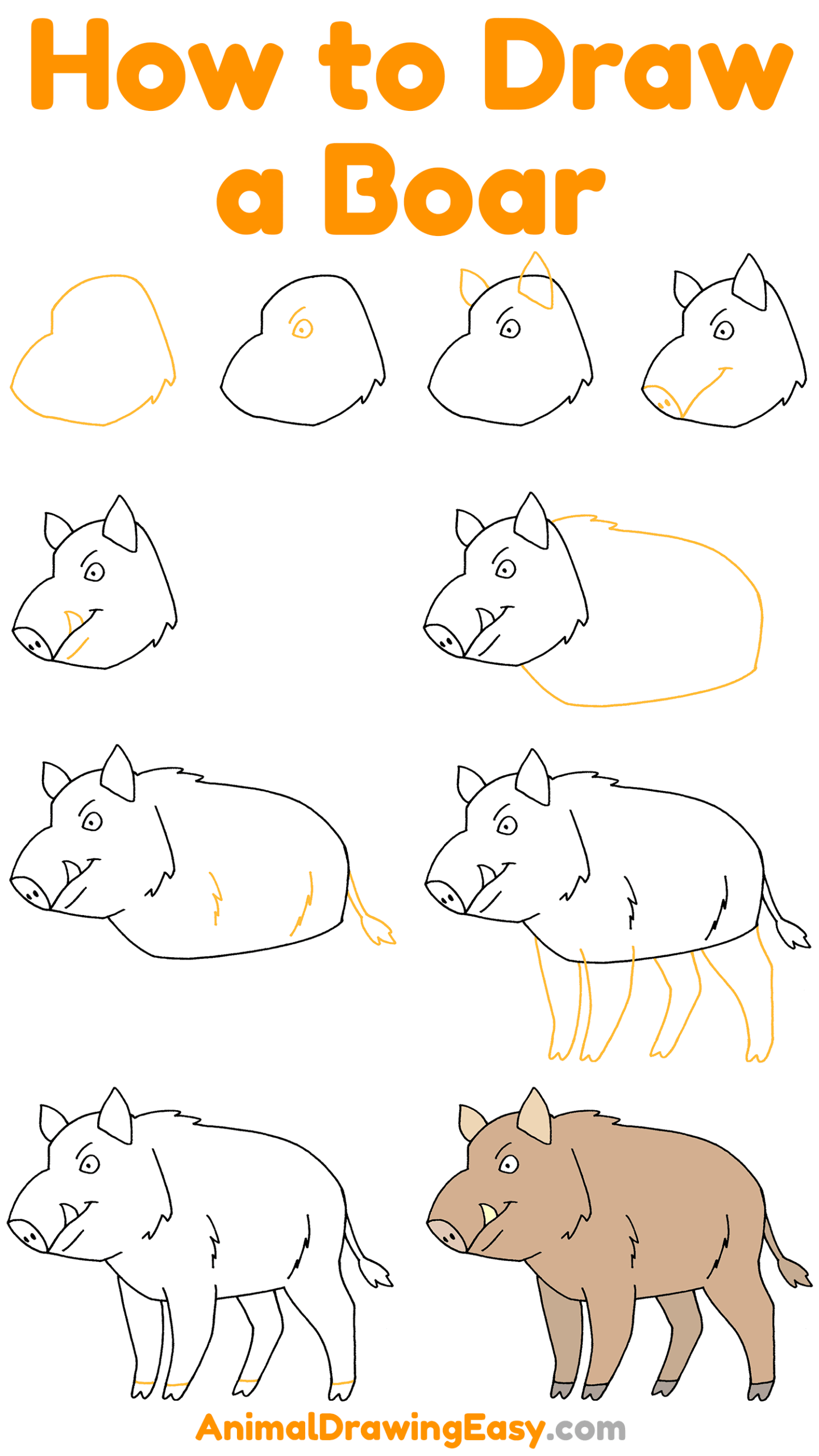 How to Draw a Boar Step by Step