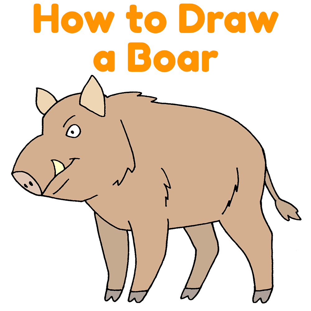 How to Draw a Boar