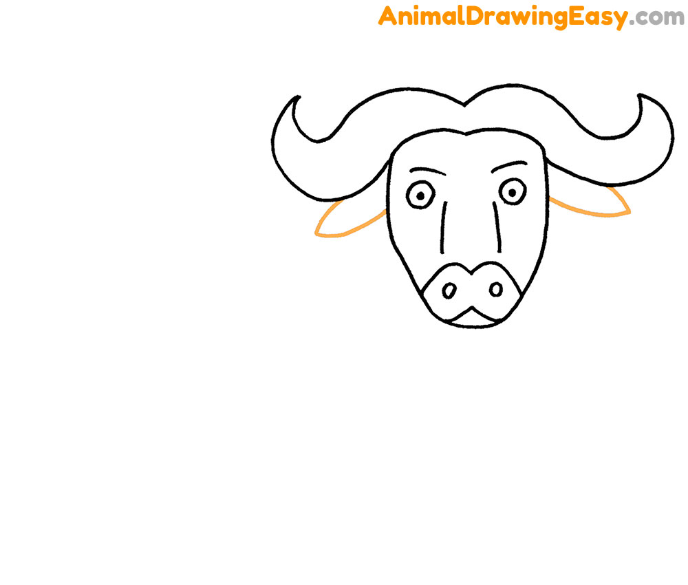 How to Draw a Buffalo Head
