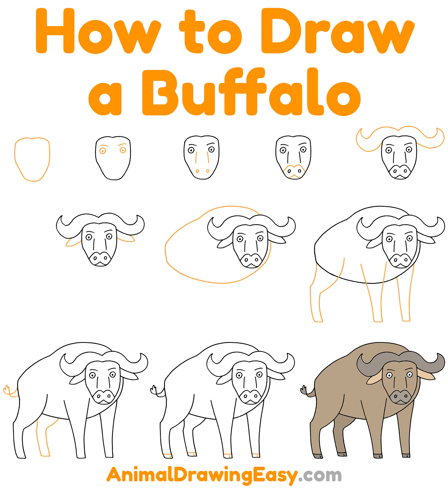How to Draw a Buffalo Step by Step