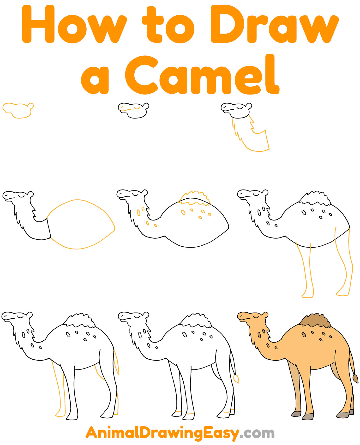 How to Draw a Camel Step by Step