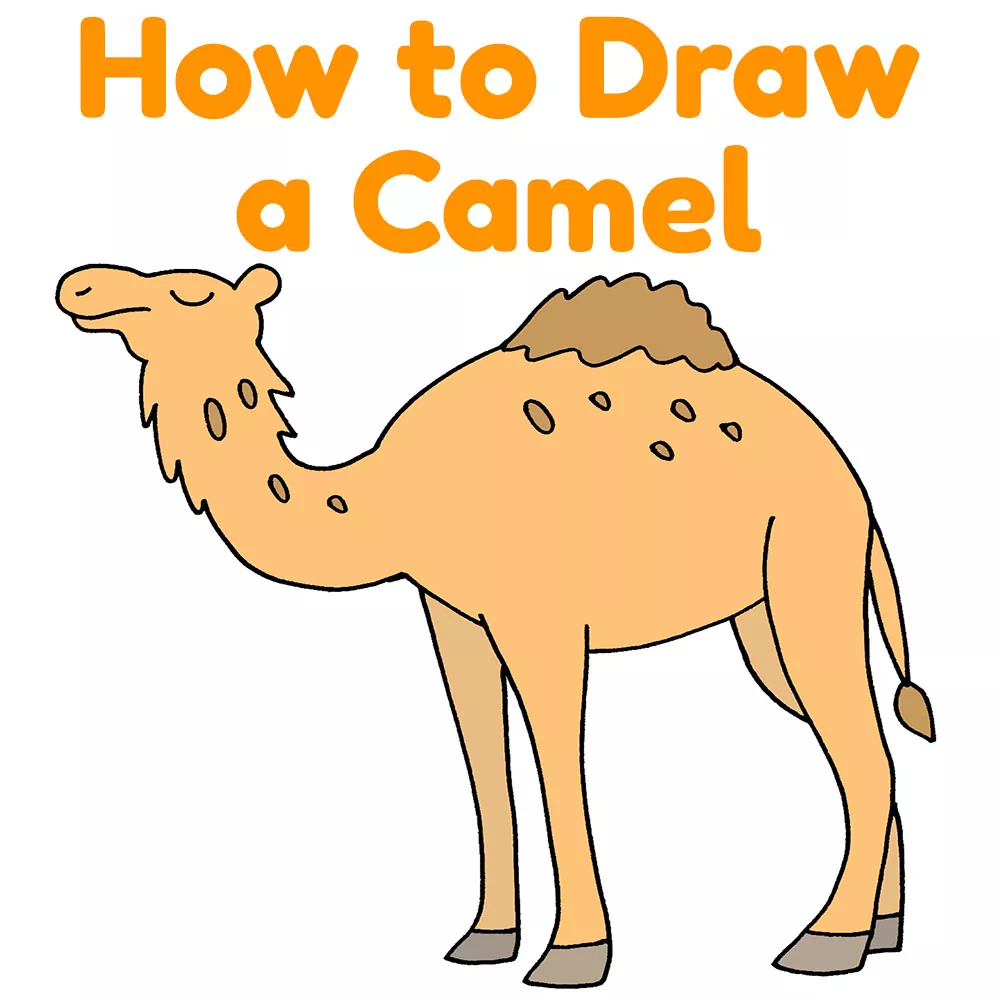 How to Draw a Camel