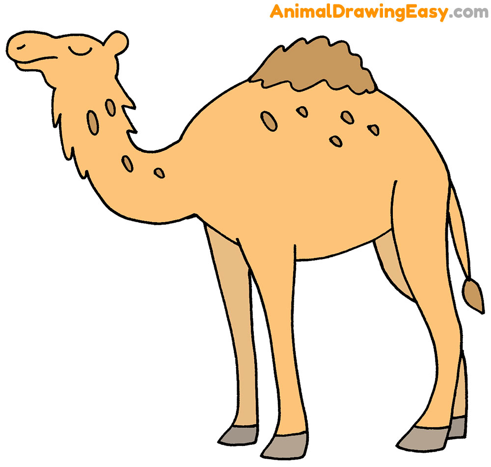 How to Draw an Easy Camel