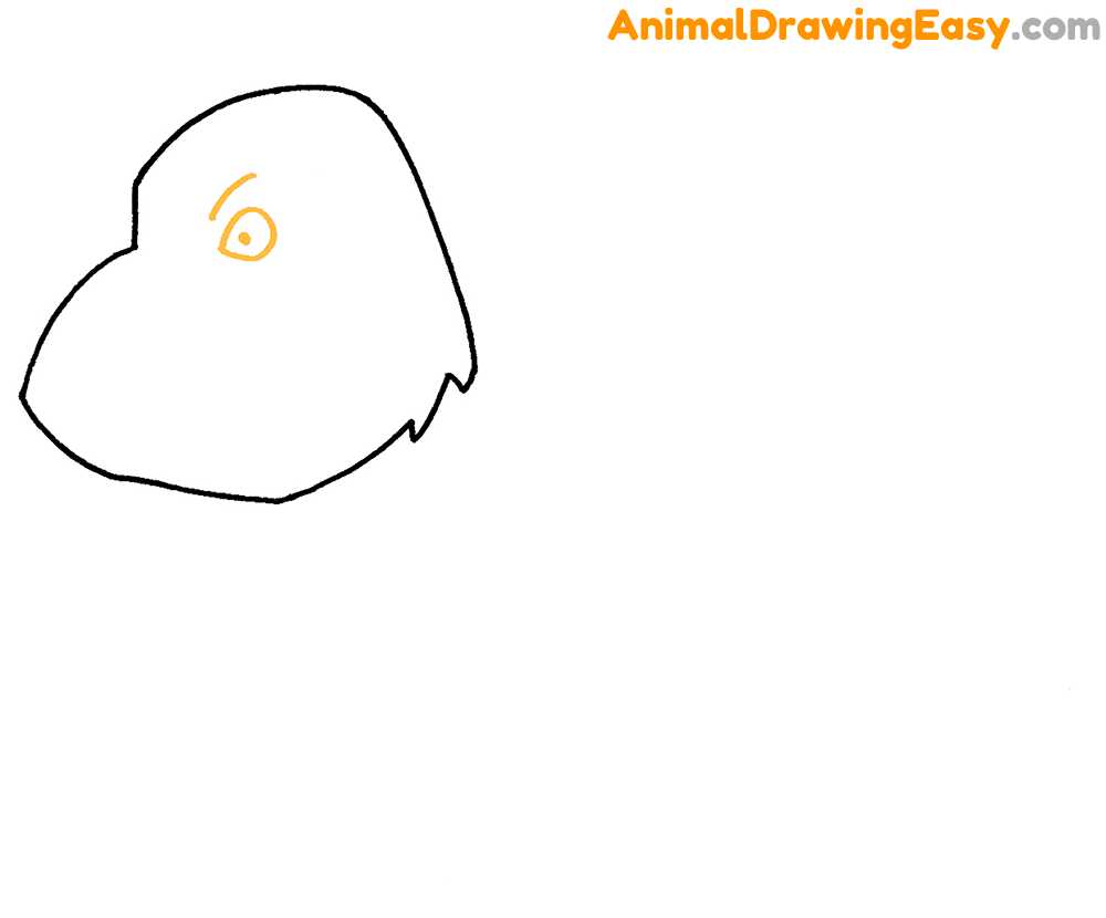 How to Draw an Simple Boar