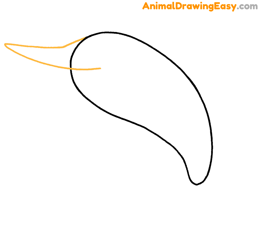 Sketching a Blue Marlin