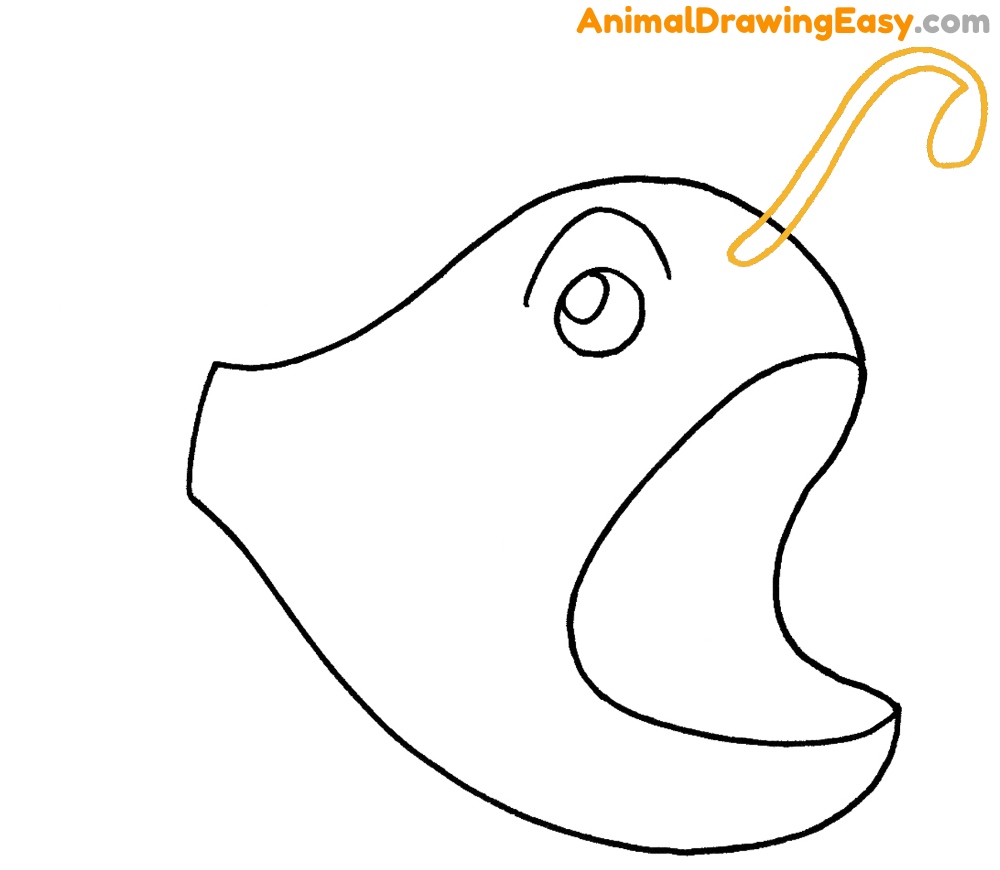 Anglerfish Drawing for Kids