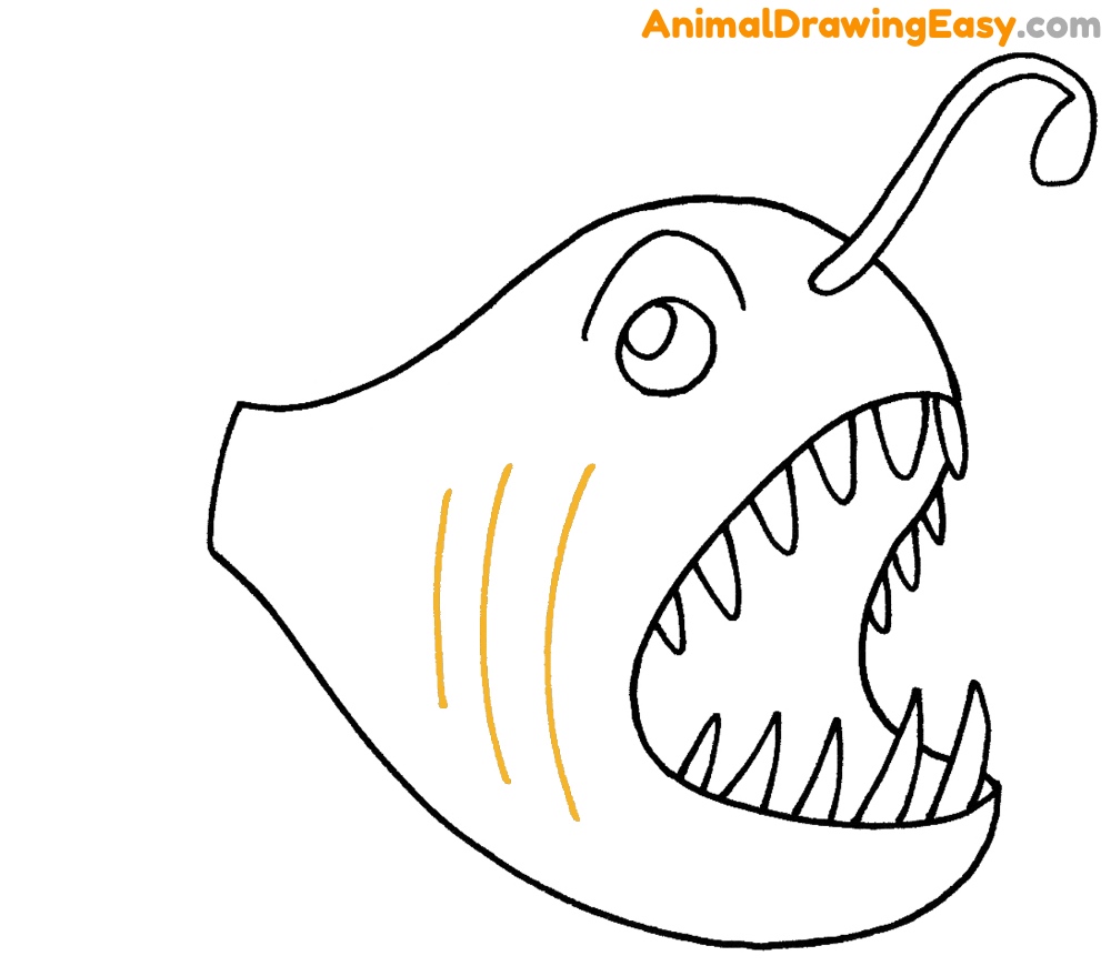 Anglerfish Easy to Draw