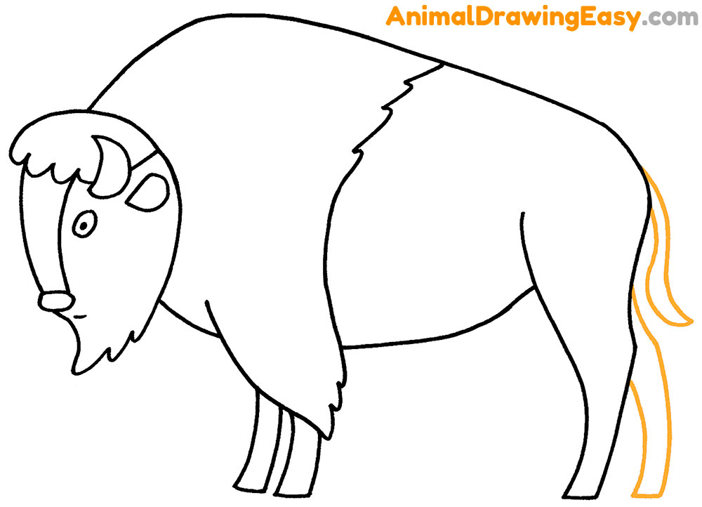 Bison Drawing Tutorial