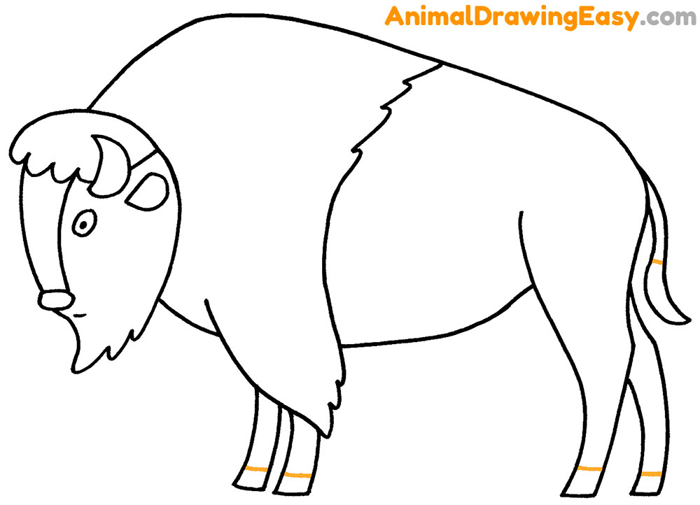 Bison Drawing