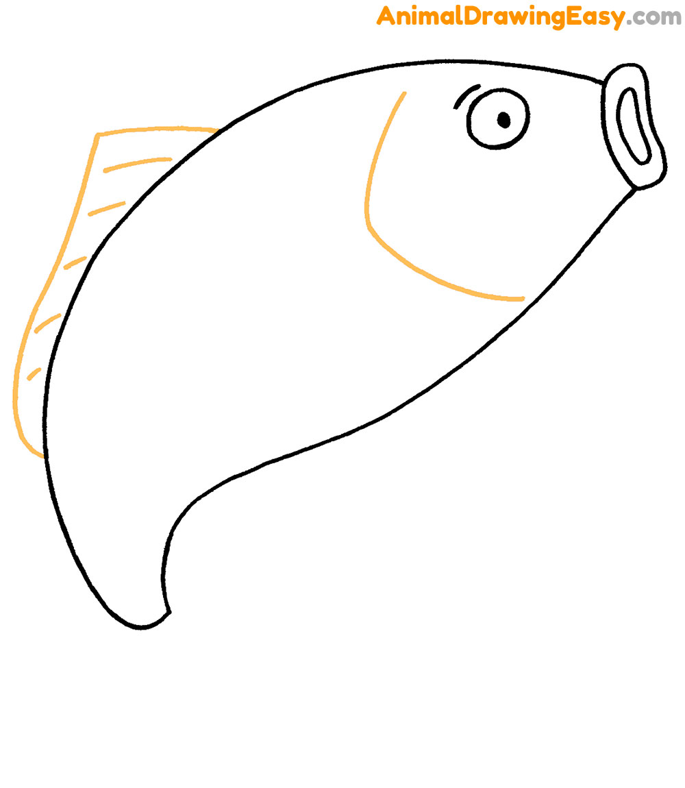 Carp Drawing Tutorial