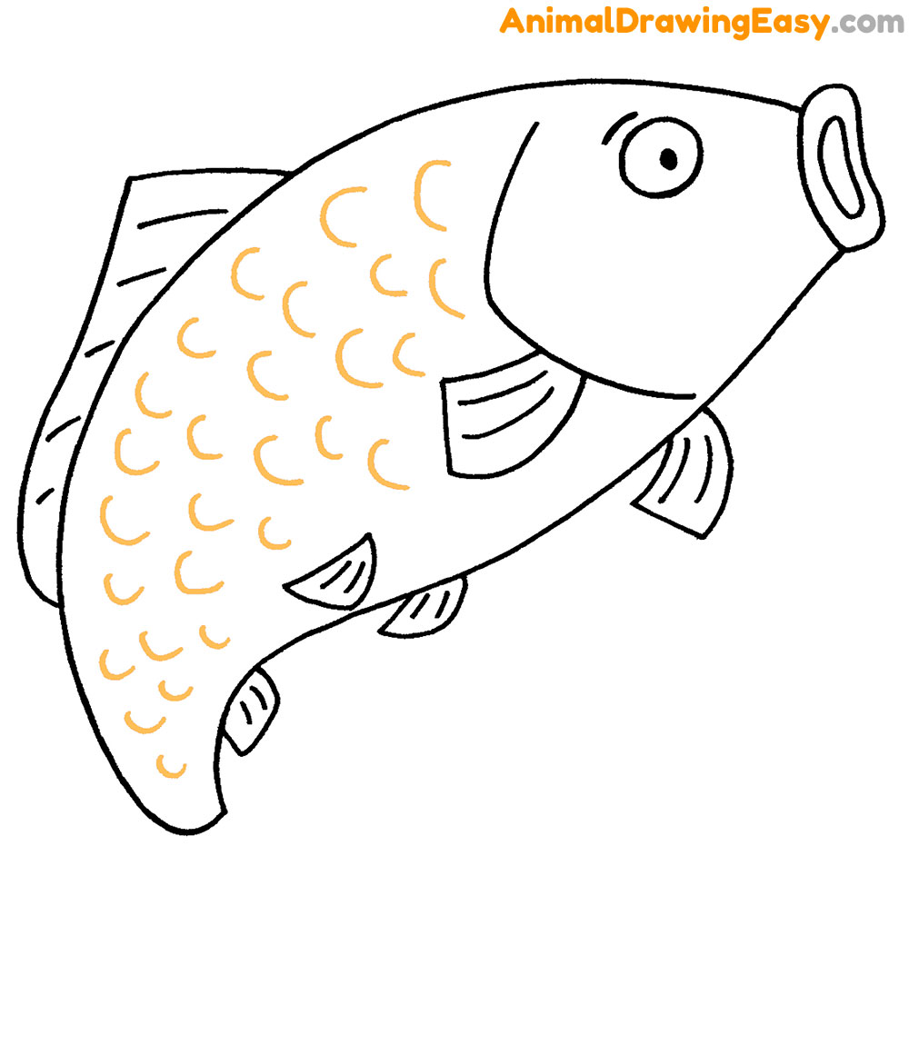 Carp Drawing