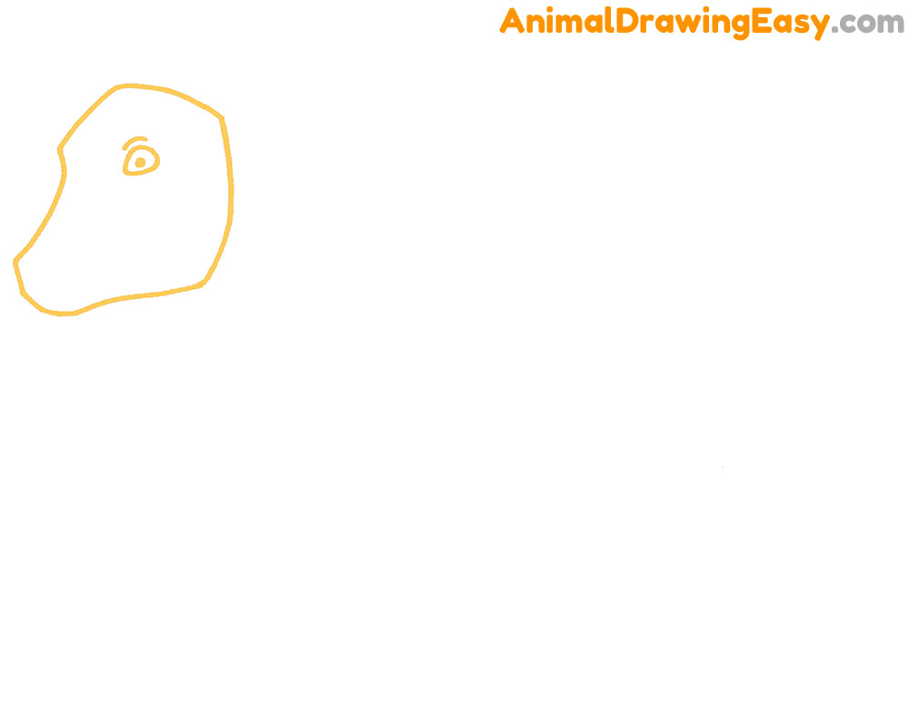 Cow Drawing Step 1