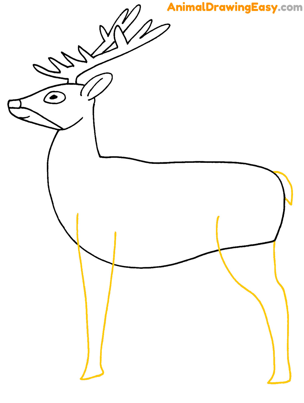 Deer Drawing Guide