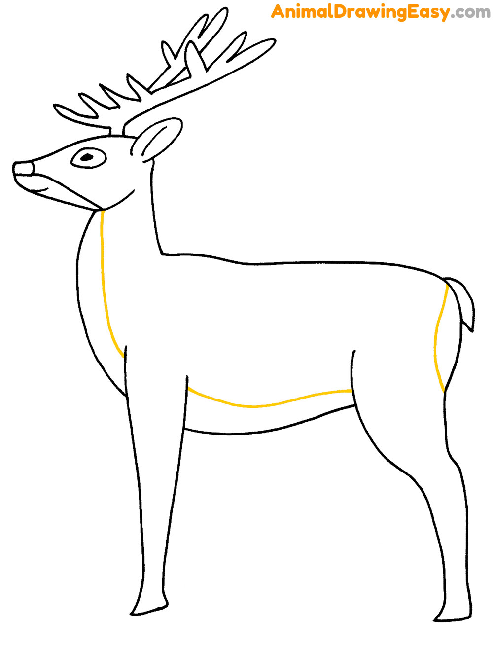 Deer Drawing Tutorial