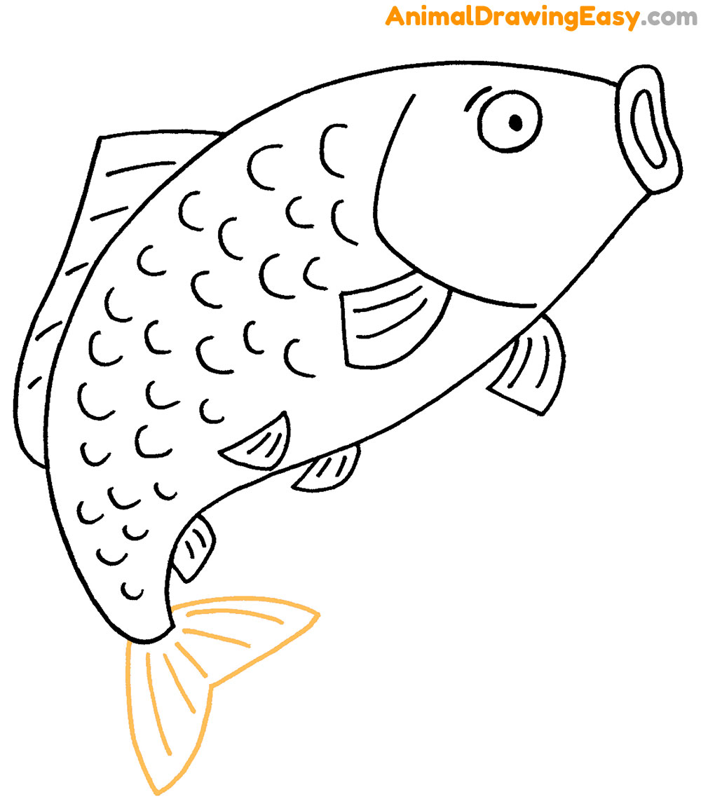 Draw a Carp