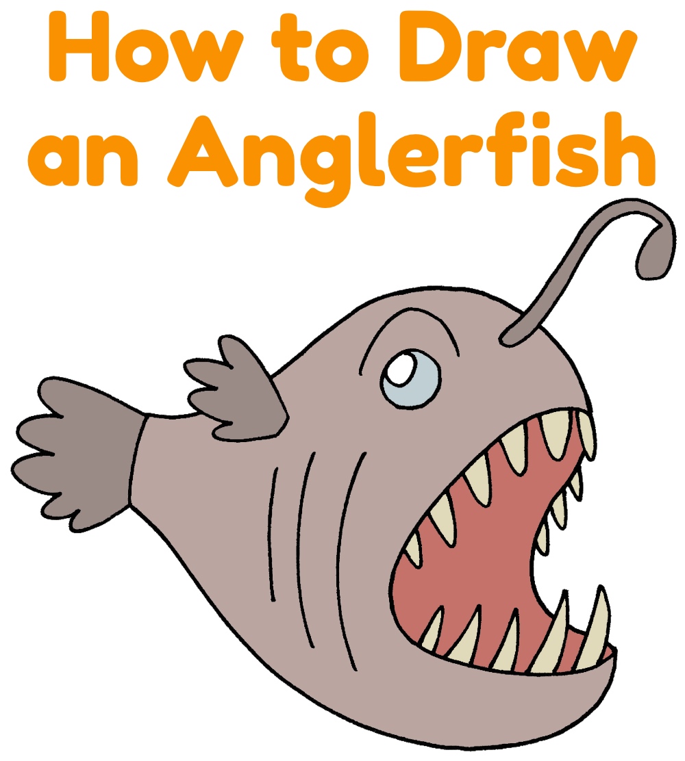 Drawing of an Anglerfish