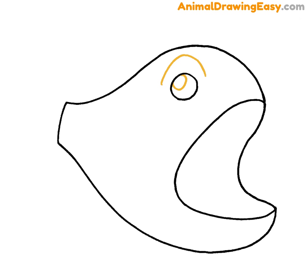 Easy Drawing Anglerfish Step by Step