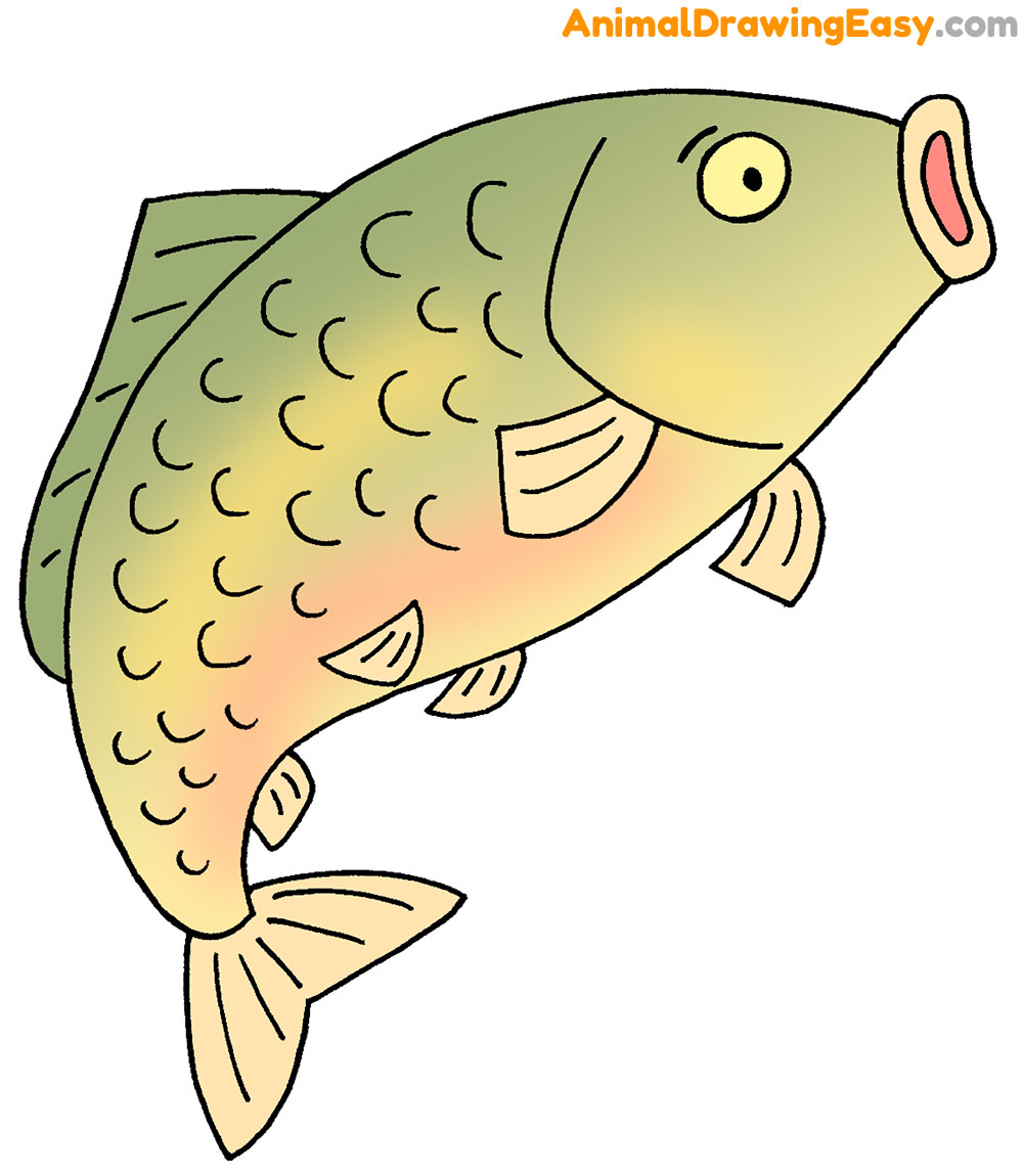 How to Draw a Carp Easy