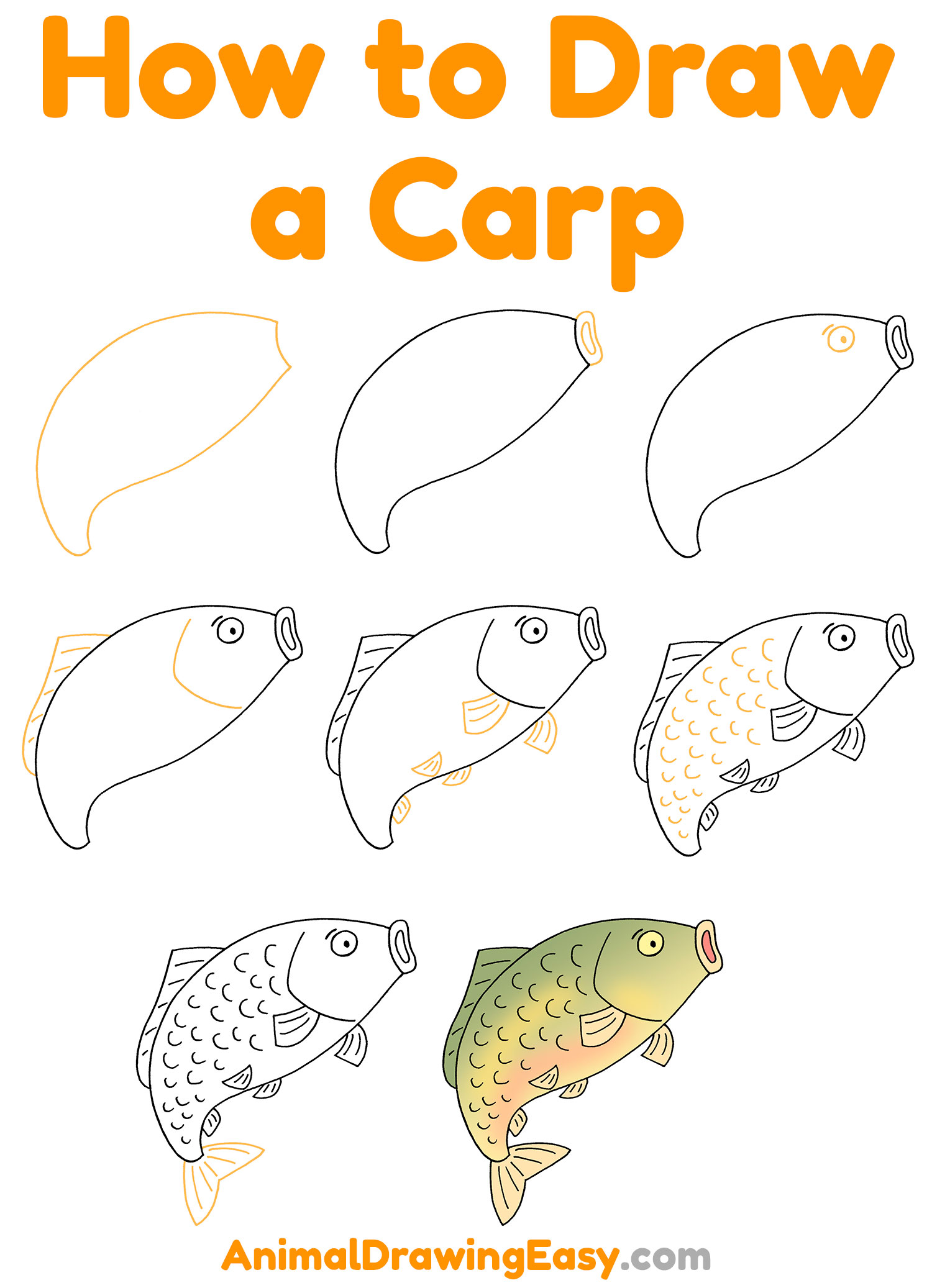 How to Draw a Carp Step by Step