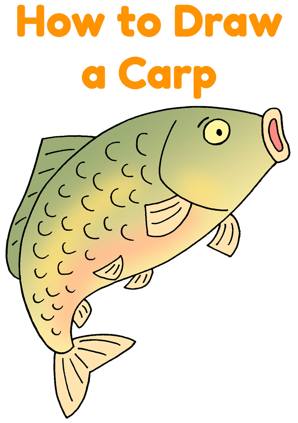 How to Draw a Carp