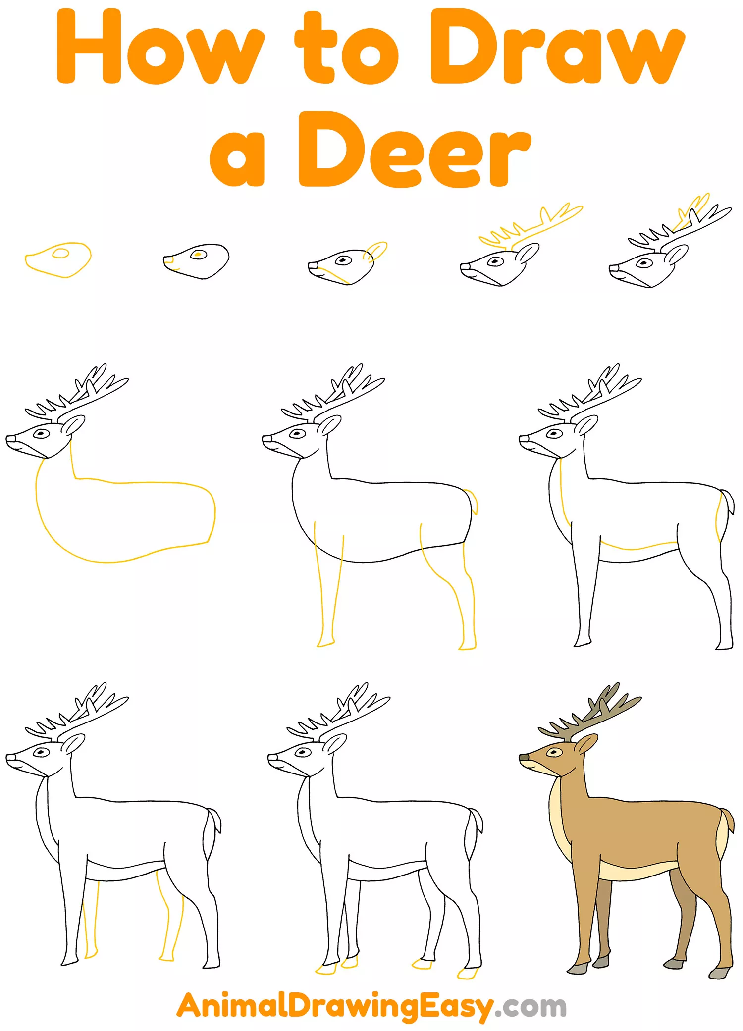 How to Draw a Deer Step by Step